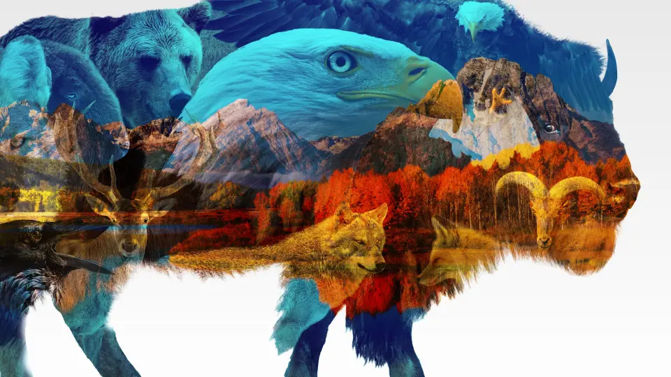 America The Beautiful 01