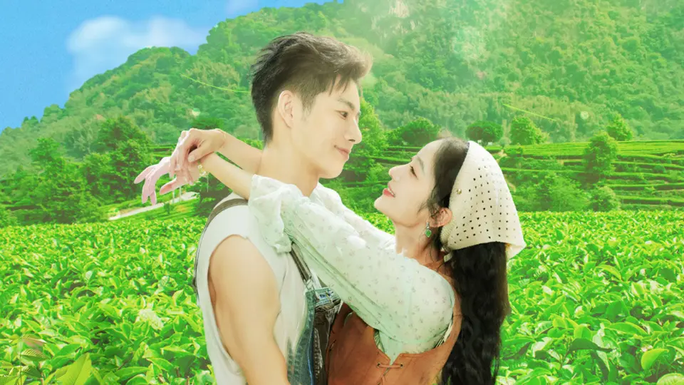 Đồi Trà Tình Yêu 1