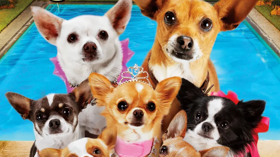 Những Chú Chó Chihuahua 3 Full
