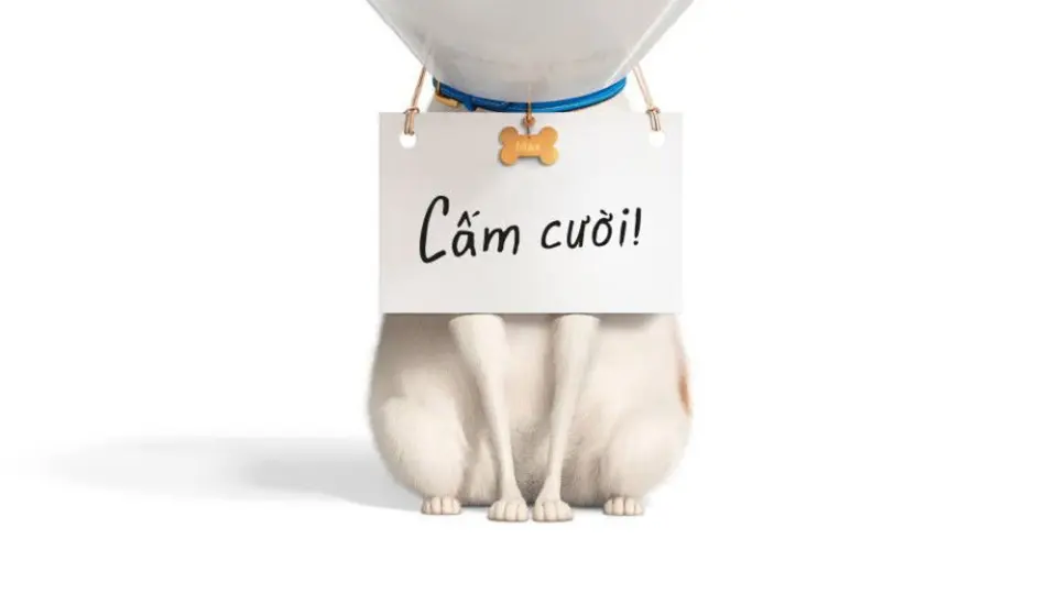 Đẳng Cấp Thú Cưng 2 Full