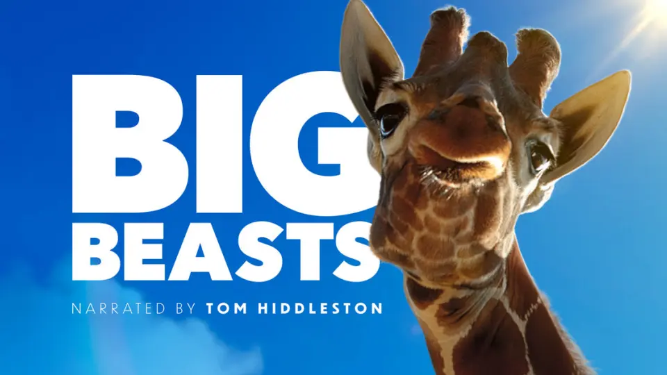 Big Beasts 10