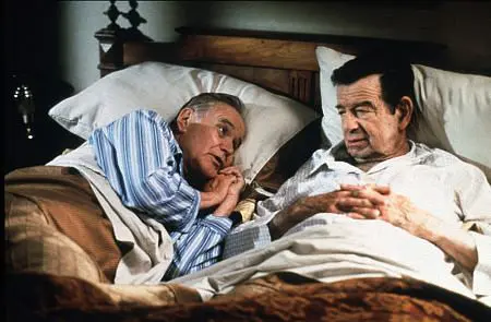 The Odd Couple II Full
