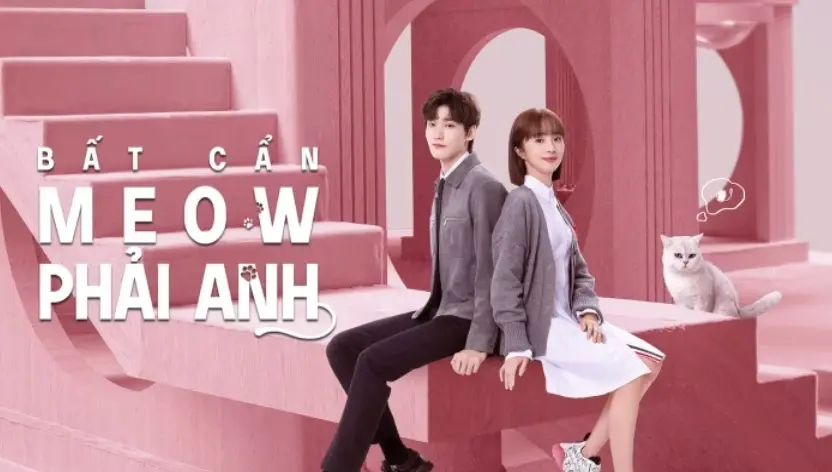 Bất Cẩn Meow Phải Anh 1
