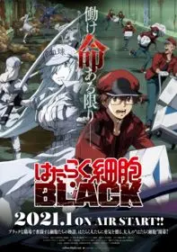 Hataraku Saibou Black 1