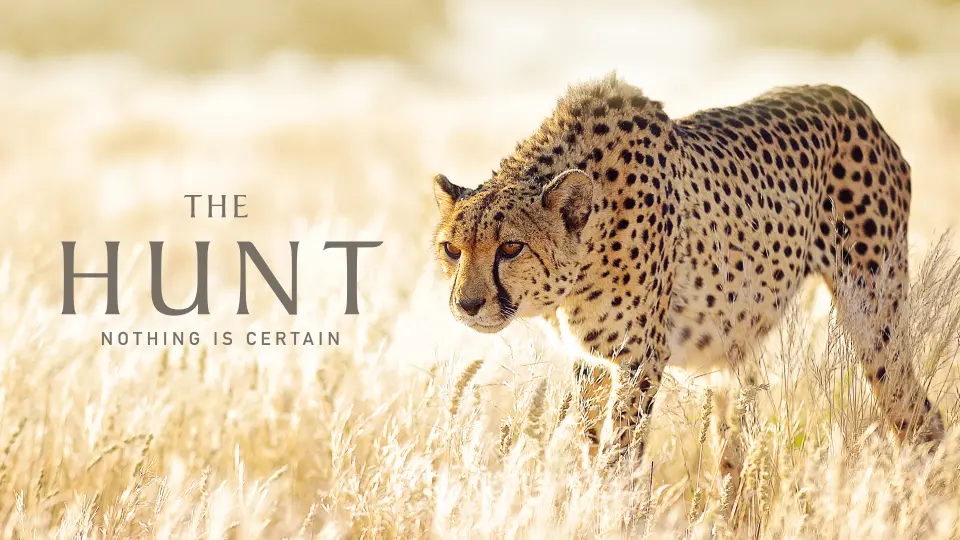 The Hunt 08