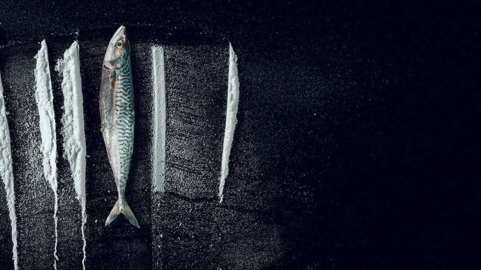 Sống Triều Đổi Vận: Câu Chuyện Siêu Thực Tế Rabo De Peixe Full