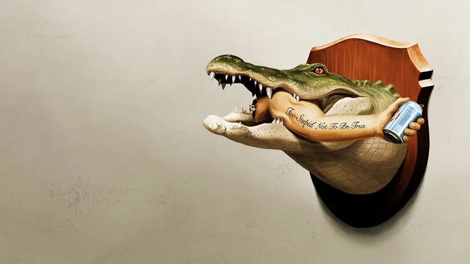 Florida Là Thế Đó 1