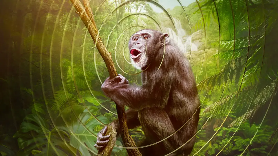 Âm Thanh Của Trái Đất - Earthsounds 12