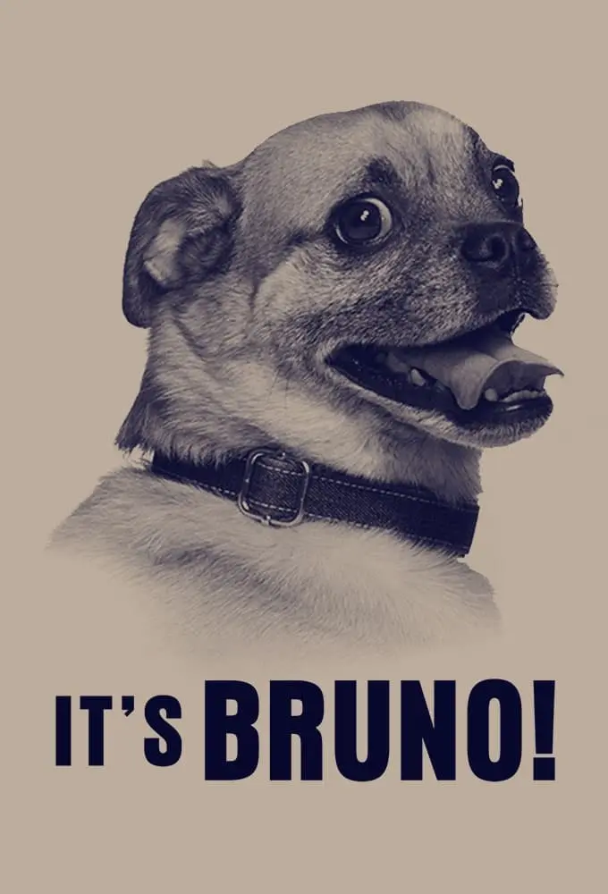 Chú Chó Bruno  01