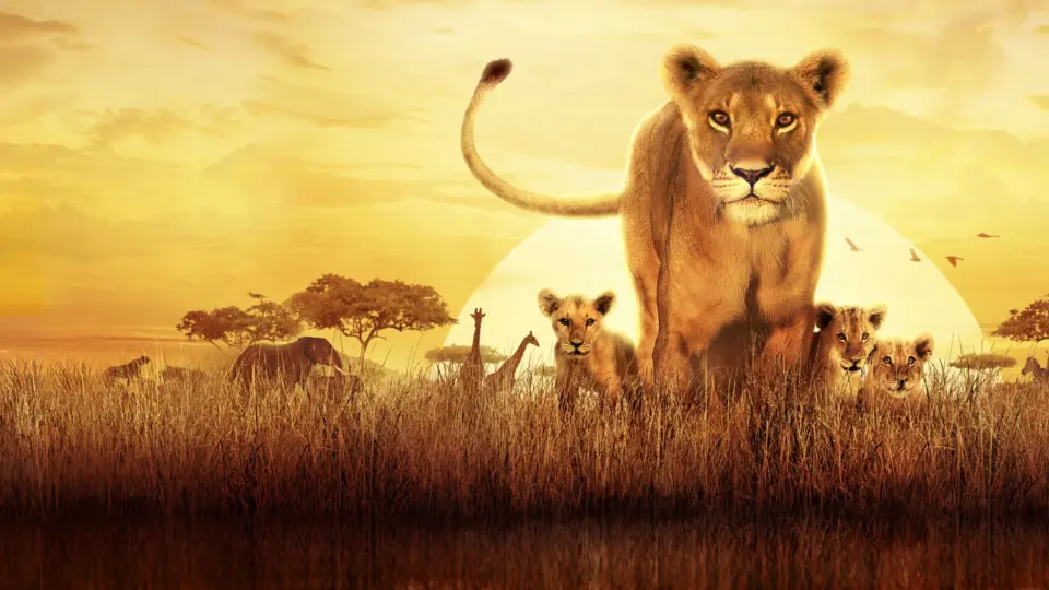 Serengeti 06