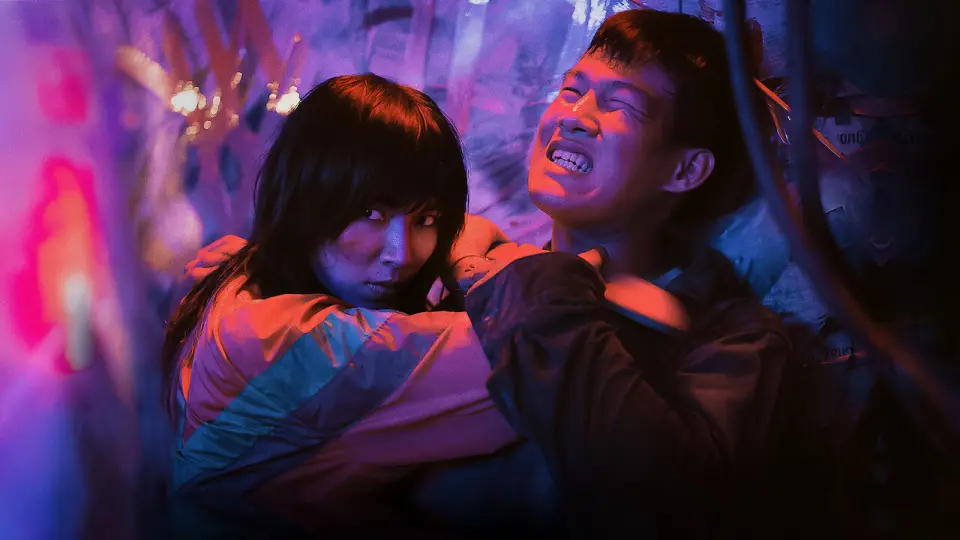 Thanh Sói - Cúc Dại Trong đêm Full