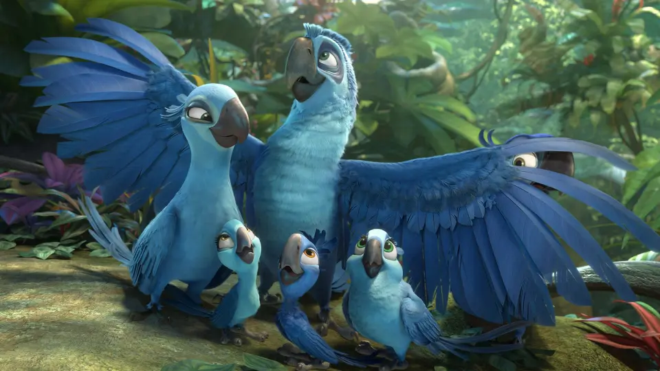 Chú Vẹt Rio 1