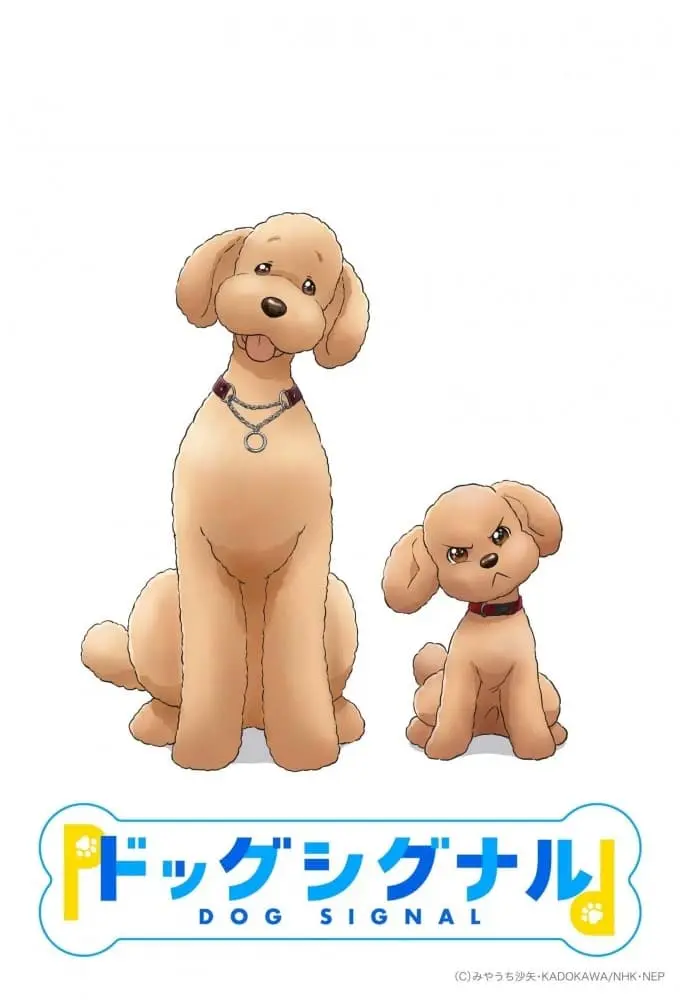 Tín Hiệu Cún Cưng 01