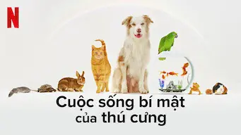 Cuộc Sống Bí Mật Của Thú Cưng 1