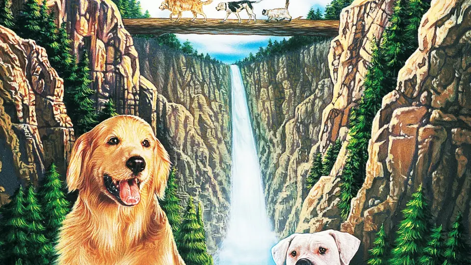 Hướng Về Nhà: Hành Trình Phi Thường Full