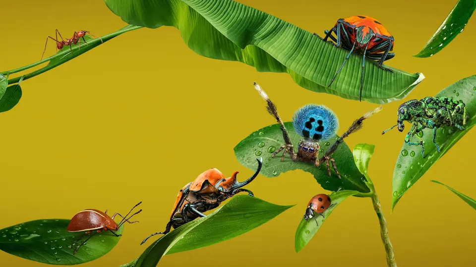 A Real Bug'S Life 1