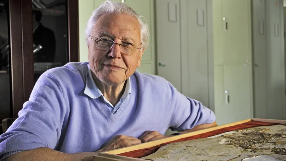 David Attenborough'S Rise Of Animals: Triumph Of The Vertebrates 2