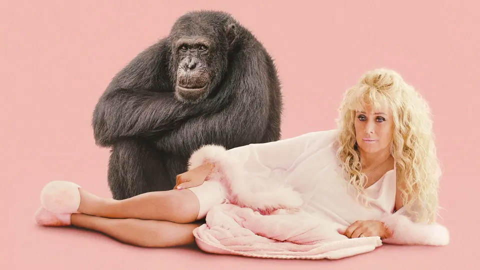Chimp Crazy 1