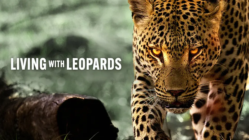 Living With Leopards Full