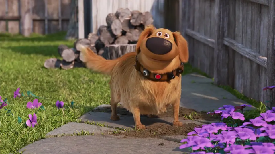 Cuộc Phiêu Lưu Của Dug 1