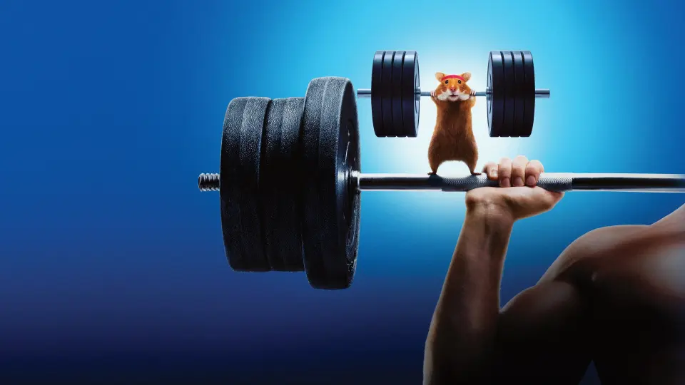 Con Người Đấu Với Hamster 1
