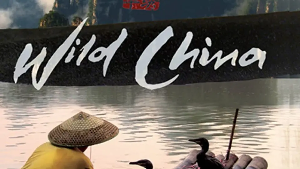 Thiên Nhiên Hoang Dã Trung Quốc 01