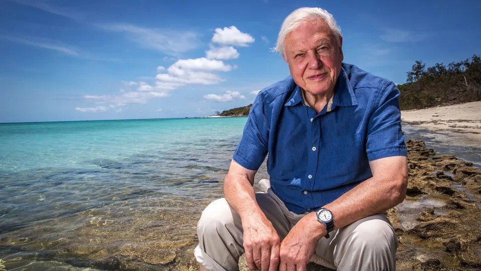 Khám Phá Rạn San Hô Great Barrier Cùng David Attenborough 03