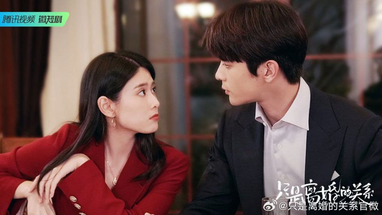 Chỉ Là Quan Hệ Ly Hôn 01