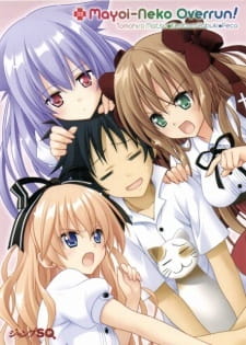 Mayoi Neko Overrun! Specials 1