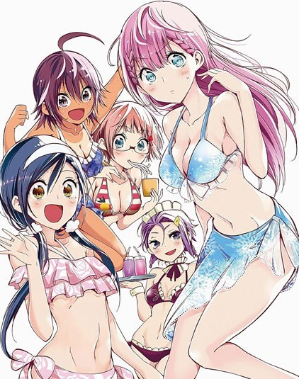 Bokutachi Wa Benkyou Ga Dekinai OVA