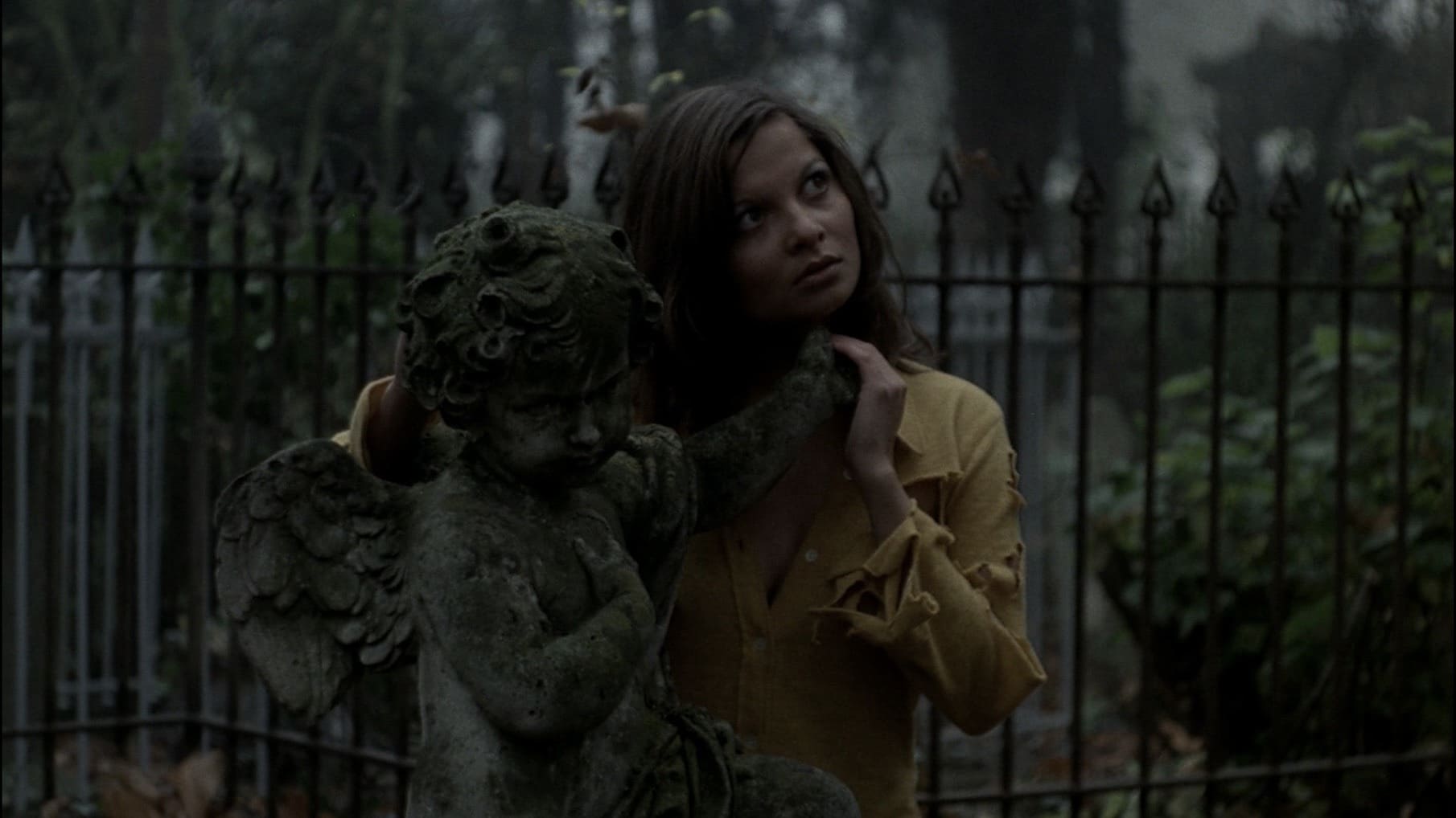 Hoa Hồng Sắt FULL