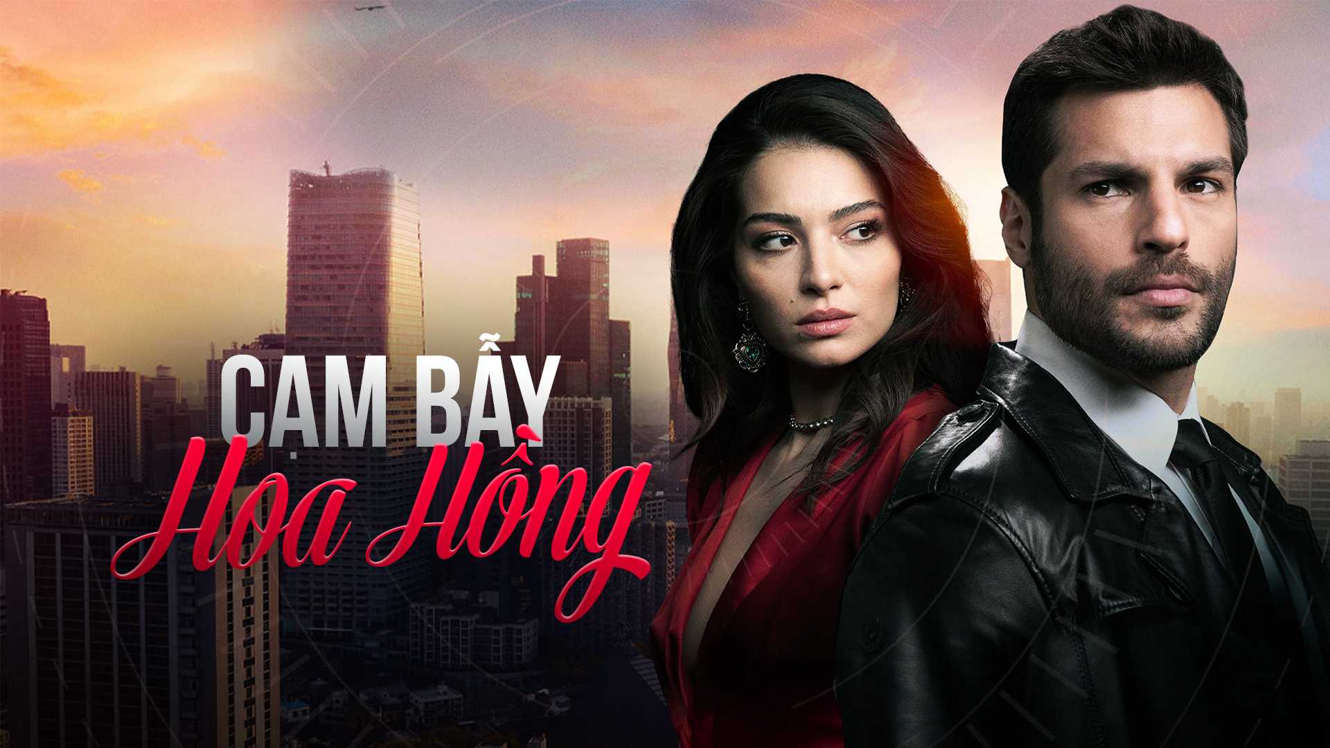 Cạm Bẫy Hoa Hồng 01