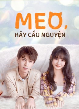 Meo, Hãy Cầu Nguyện 01