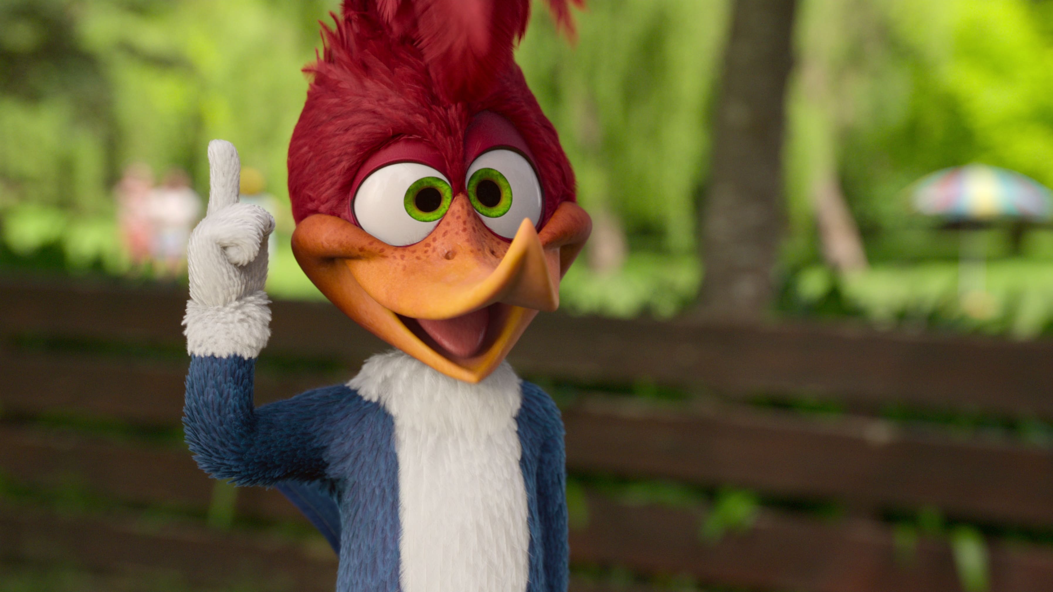 Chim Gõ Kiến Woody đi Trại Hè