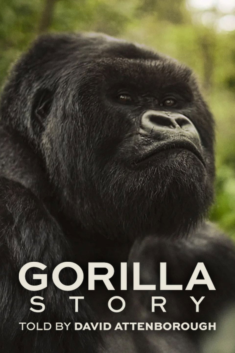 Câu Chuyện Khỉ Đột: Qua Lời Kể Của David Attenborough Full